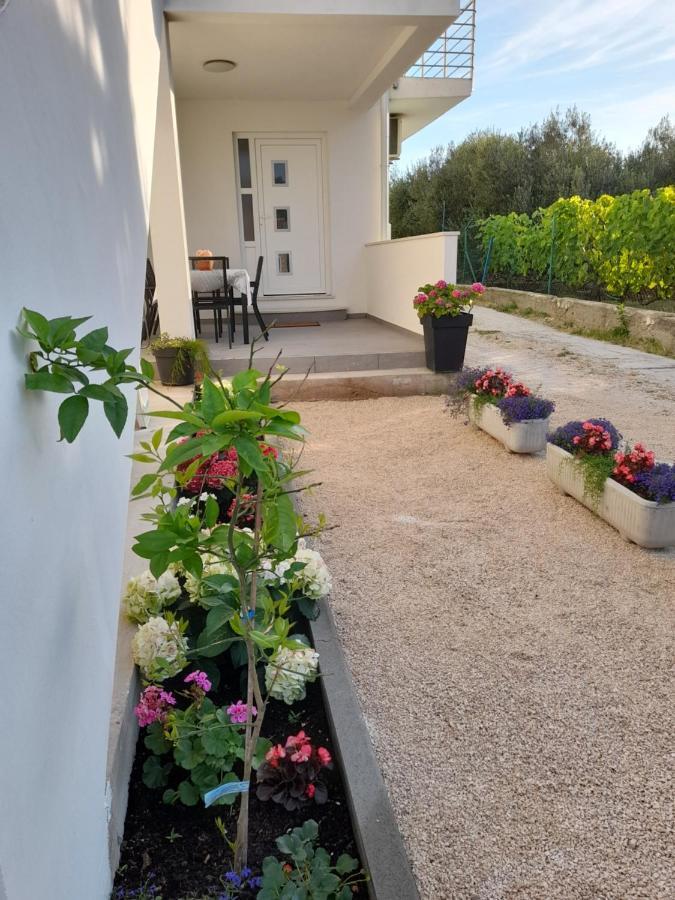 Apartmani Sara Bibinje Kültér fotó